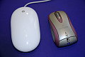 kensington mouse 6